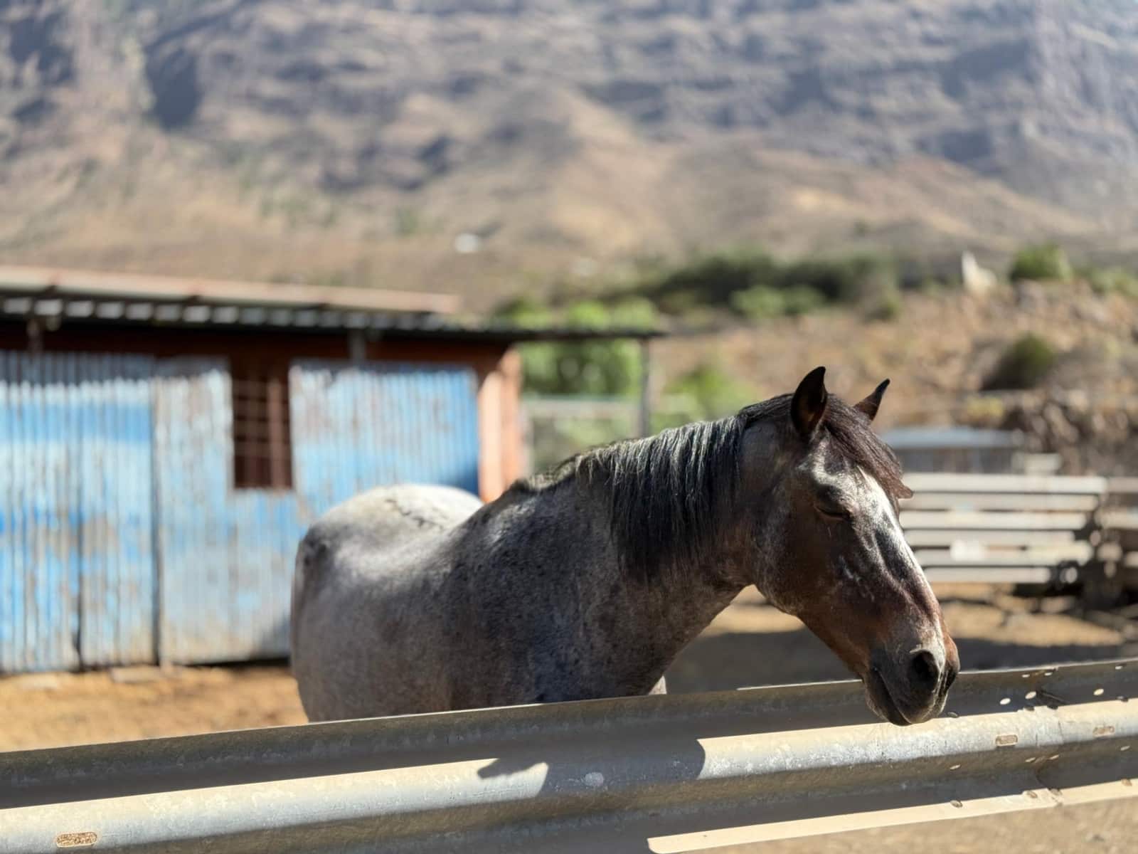 5 Zimmer Finca/Landgut zu verkaufen in La Aldea de San Nicolas - 850.000 € (Ref: 9602803)