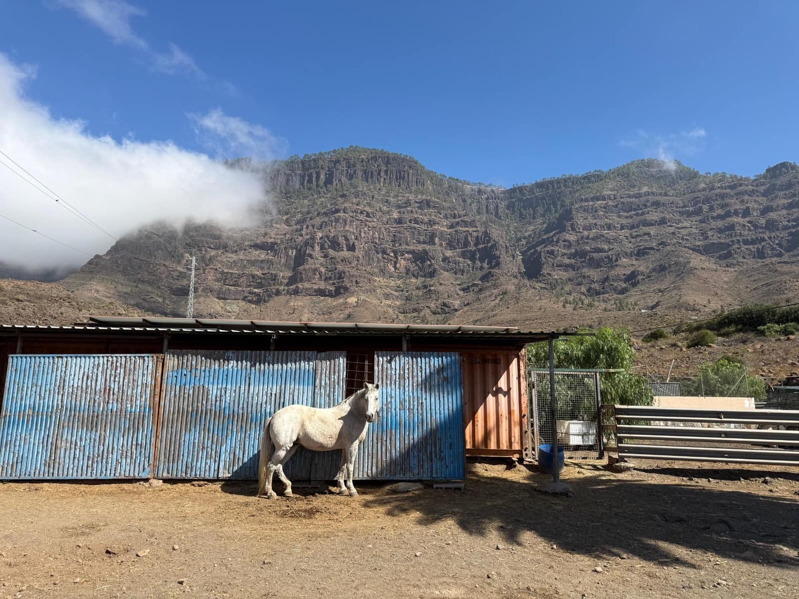 5 Zimmer Finca/Landgut zu verkaufen in La Aldea de San Nicolas - 850.000 € (Ref: 9602803)