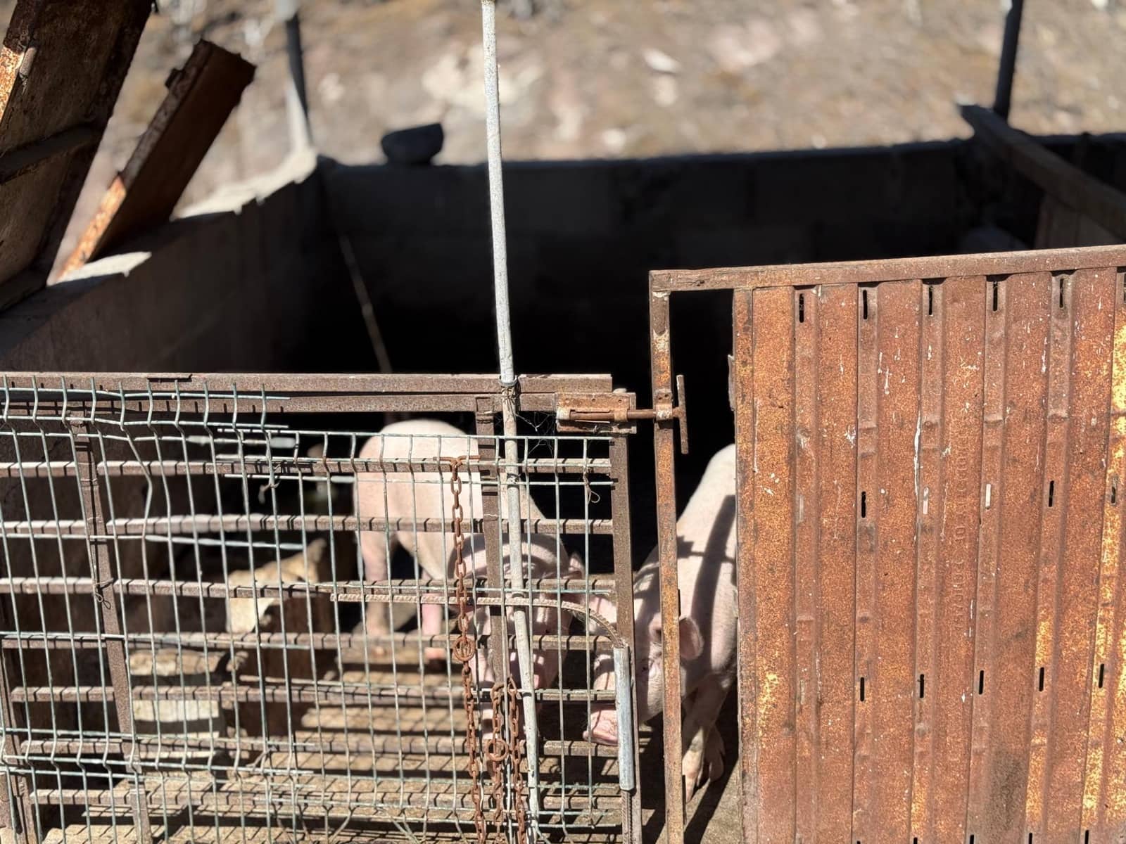 5 Zimmer Finca/Landgut zu verkaufen in La Aldea de San Nicolas - 850.000 € (Ref: 9602803)