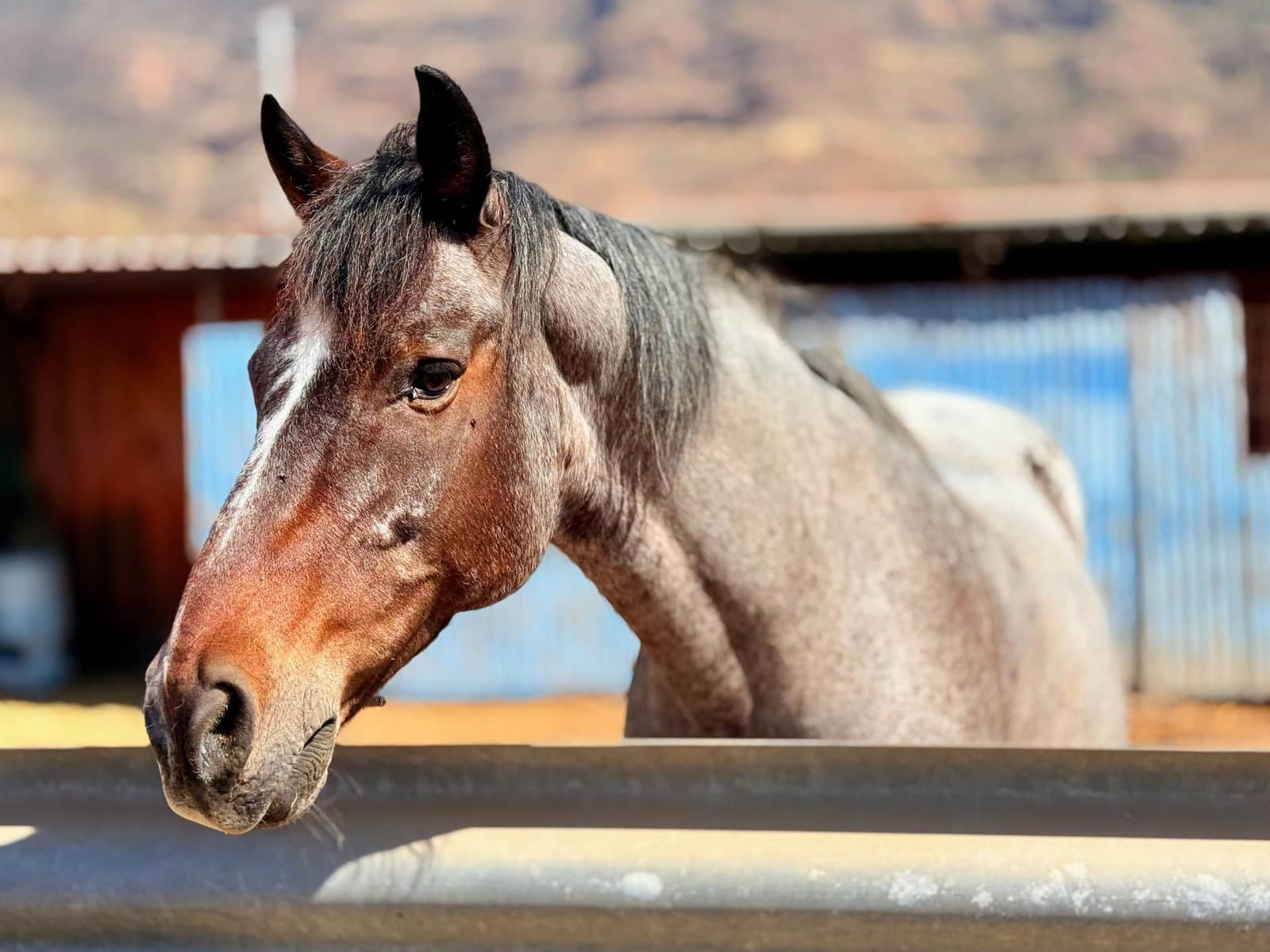 5 Zimmer Finca/Landgut zu verkaufen in La Aldea de San Nicolas - 850.000 € (Ref: 9602803)