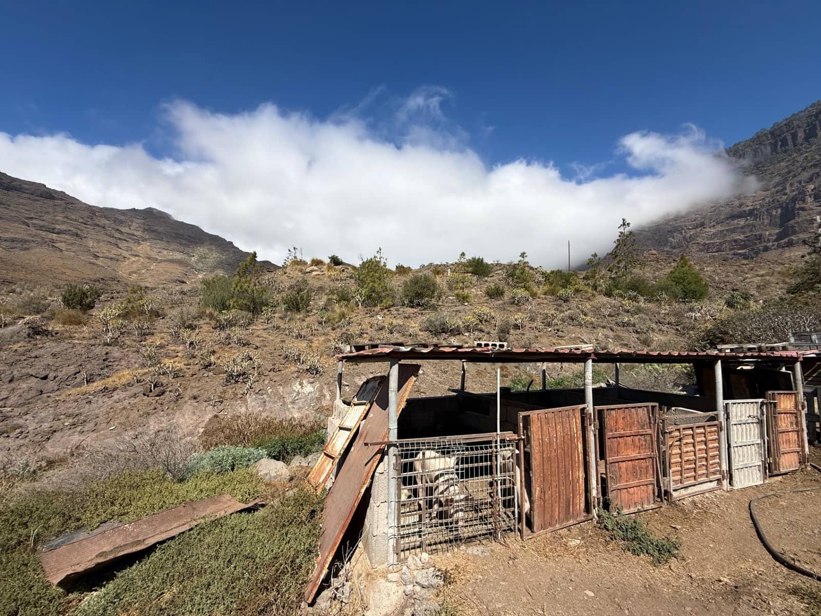 5 Zimmer Finca/Landgut zu verkaufen in La Aldea de San Nicolas - 850.000 € (Ref: 9602803)