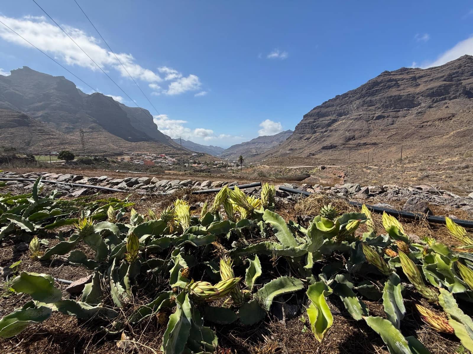 5 Zimmer Finca/Landgut zu verkaufen in La Aldea de San Nicolas - 850.000 € (Ref: 9602803)