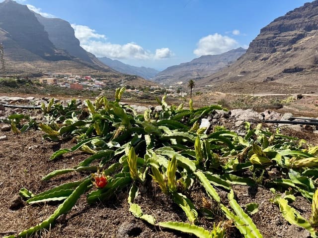 5 Zimmer Finca/Landgut zu verkaufen in La Aldea de San Nicolas - 850.000 € (Ref: 9602803)