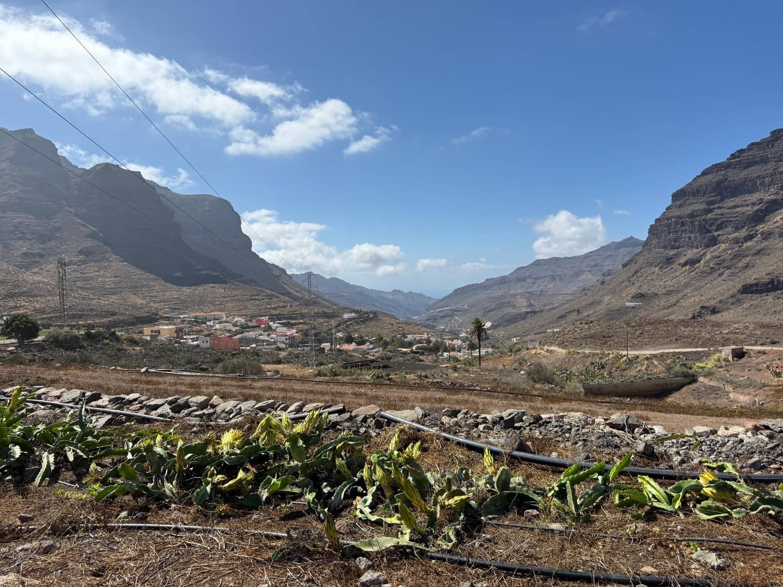 5 Zimmer Finca/Landgut zu verkaufen in La Aldea de San Nicolas - 850.000 € (Ref: 9602803)