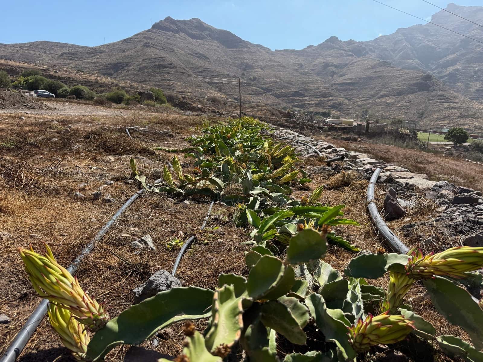 5 Zimmer Finca/Landgut zu verkaufen in La Aldea de San Nicolas - 850.000 € (Ref: 9602803)