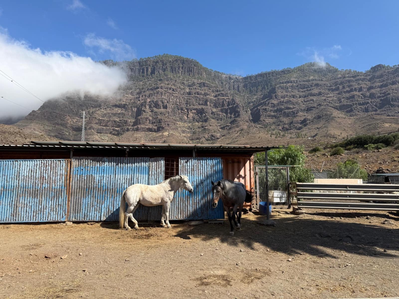 5 Zimmer Finca/Landgut zu verkaufen in La Aldea de San Nicolas - 850.000 € (Ref: 9602803)