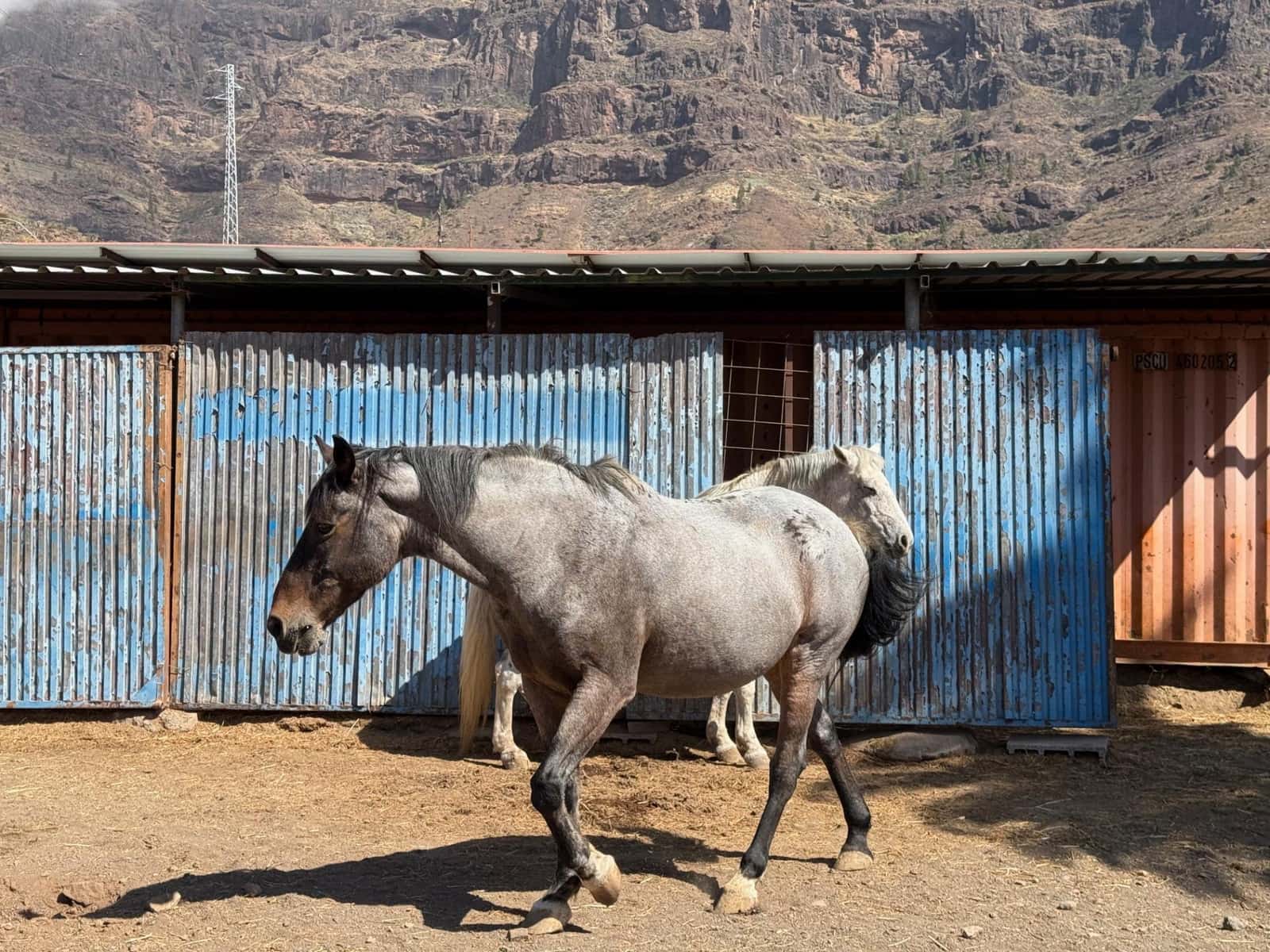 5 Zimmer Finca/Landgut zu verkaufen in La Aldea de San Nicolas - 850.000 € (Ref: 9602803)