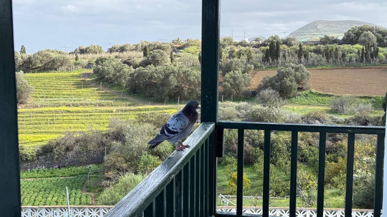 6 makuuhuone Maalaistalo myytävänä paikassa Telde - 12 000 000 € (Ref: 9602814)