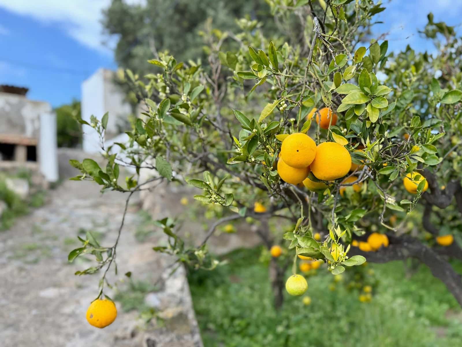 6 makuuhuone Maalaistalo myytävänä paikassa Telde - 12 000 000 € (Ref: 9602814)