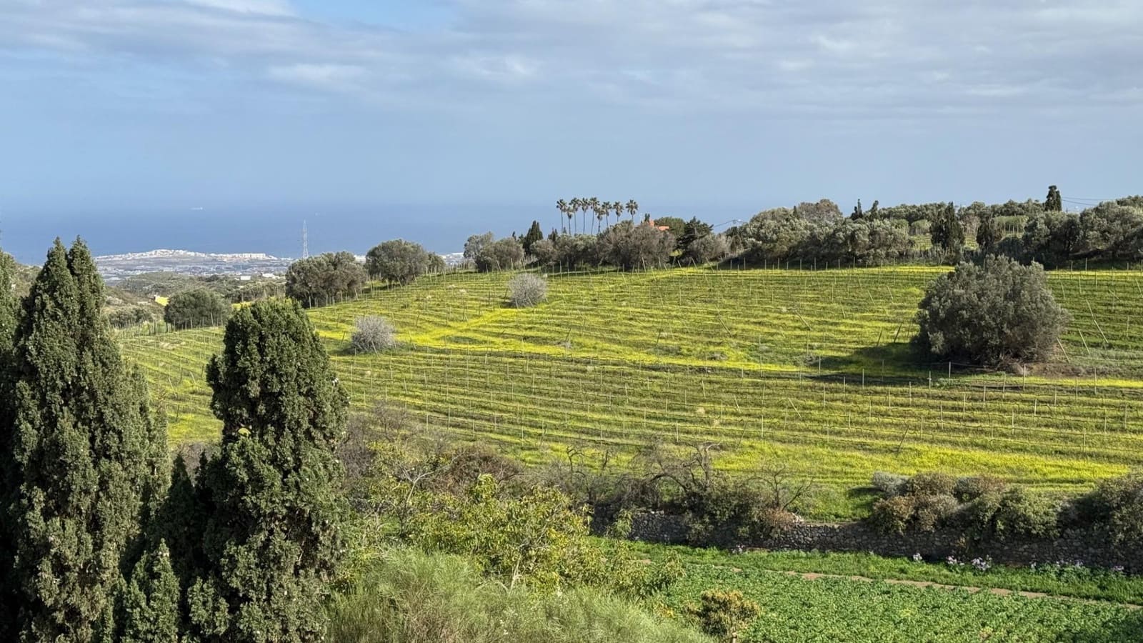 6 makuuhuone Maalaistalo myytävänä paikassa Telde - 12 000 000 € (Ref: 9602814)