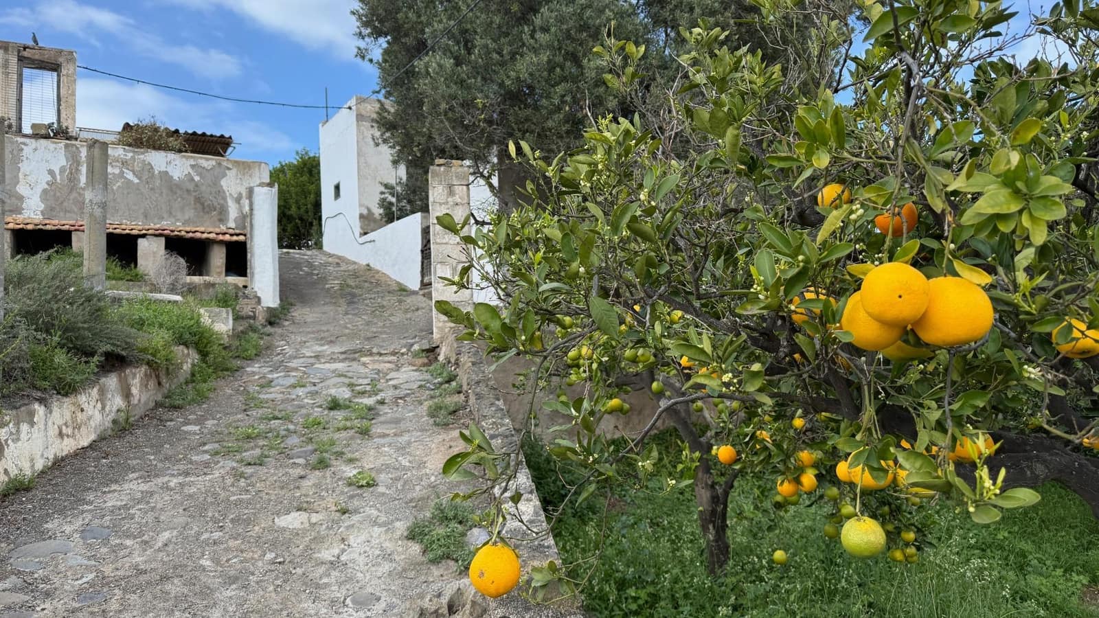 6 makuuhuone Maalaistalo myytävänä paikassa Telde - 12 000 000 € (Ref: 9602814)