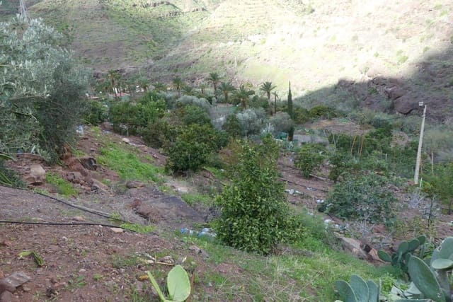 Ubebygd land til salgs i Chira, San Bartolomé de Tirajana - € 130 000 (Ref: 9670781)