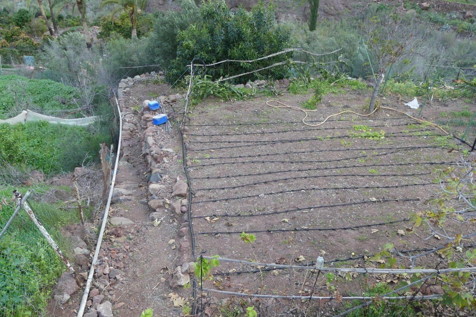 Ubebygd land til salgs i Chira - € 130 000 (Ref: 9670781)