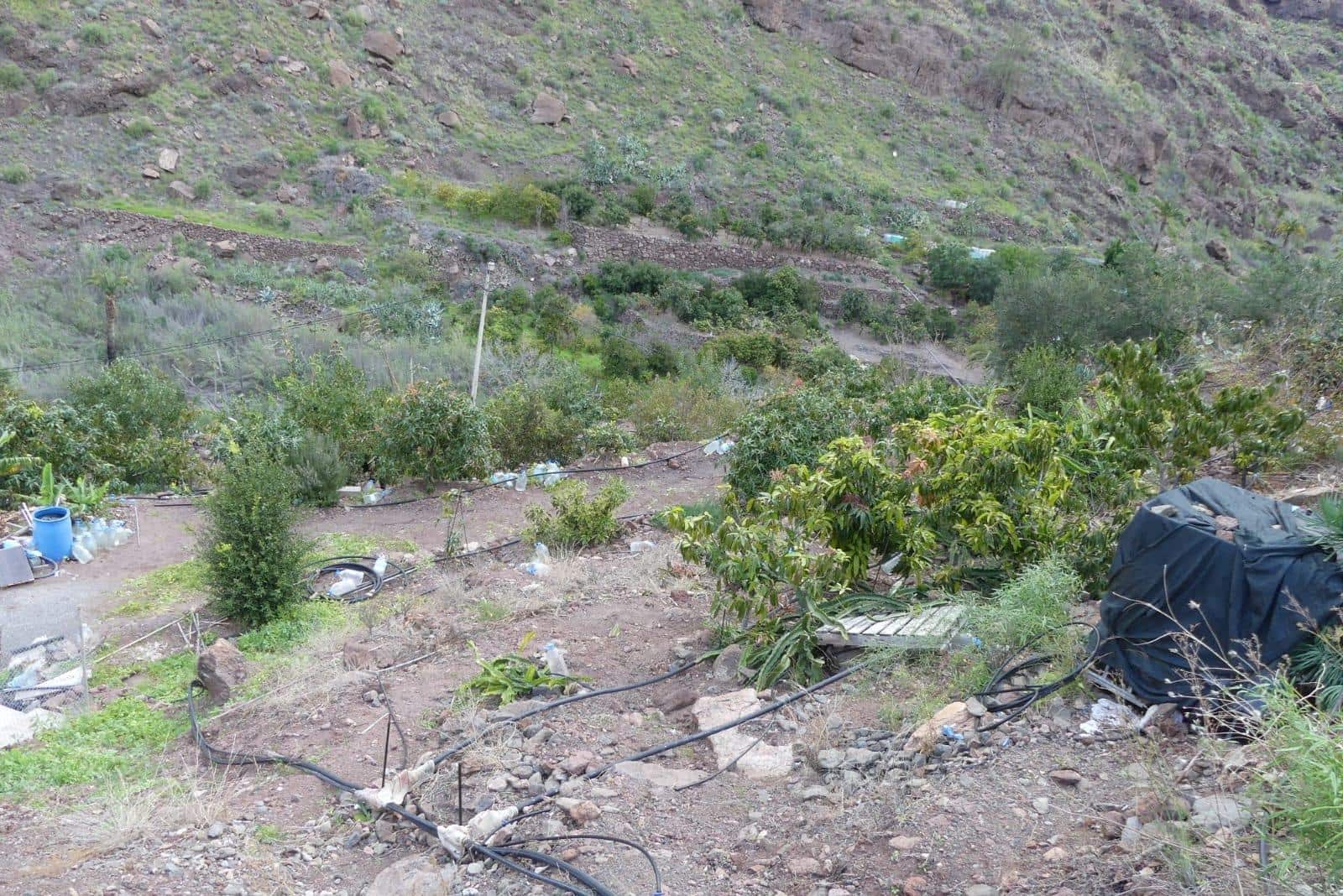 Ubebygd land til salgs i Chira - € 130 000 (Ref: 9670781)