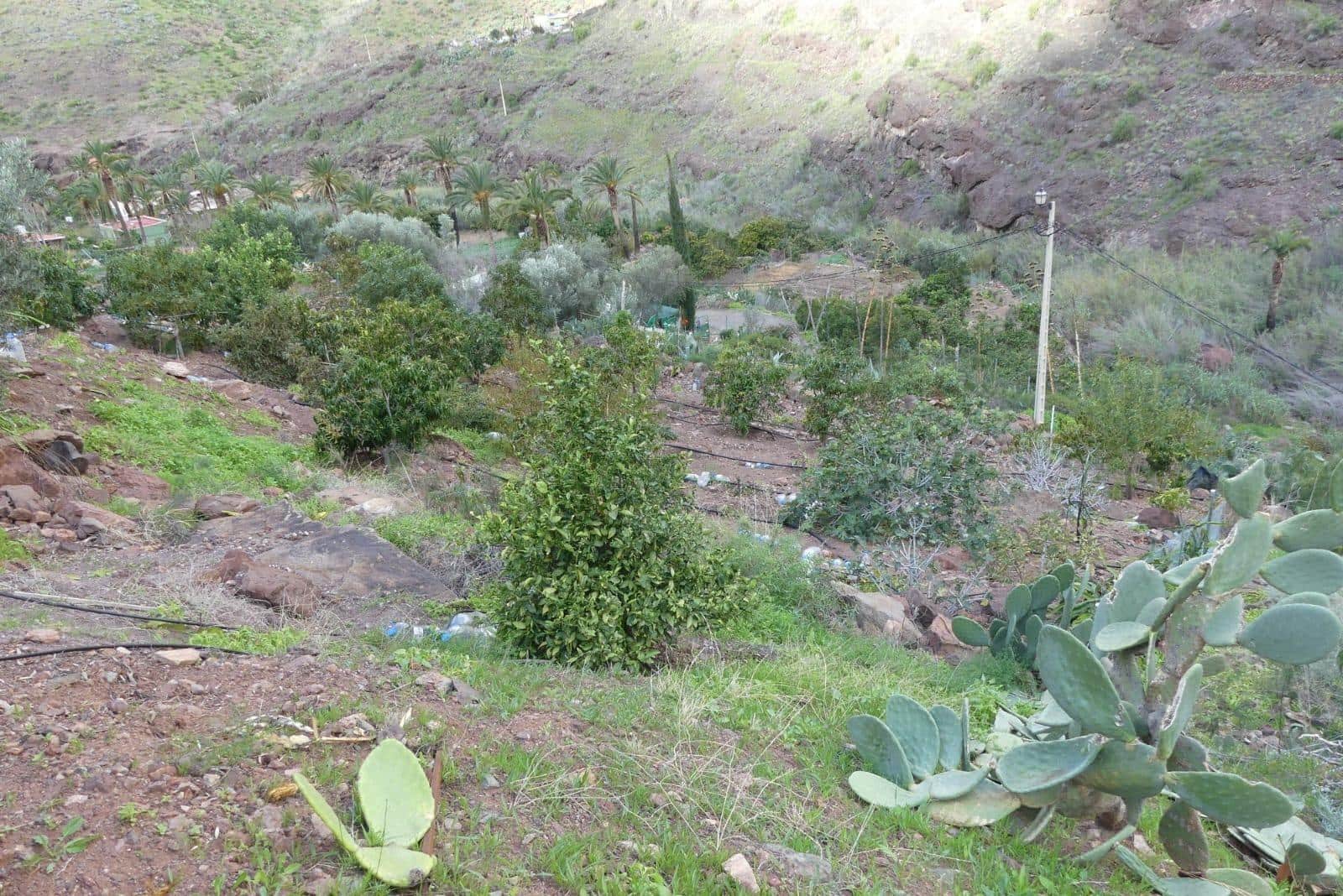 Ubebygd land til salgs i Chira - € 130 000 (Ref: 9670781)