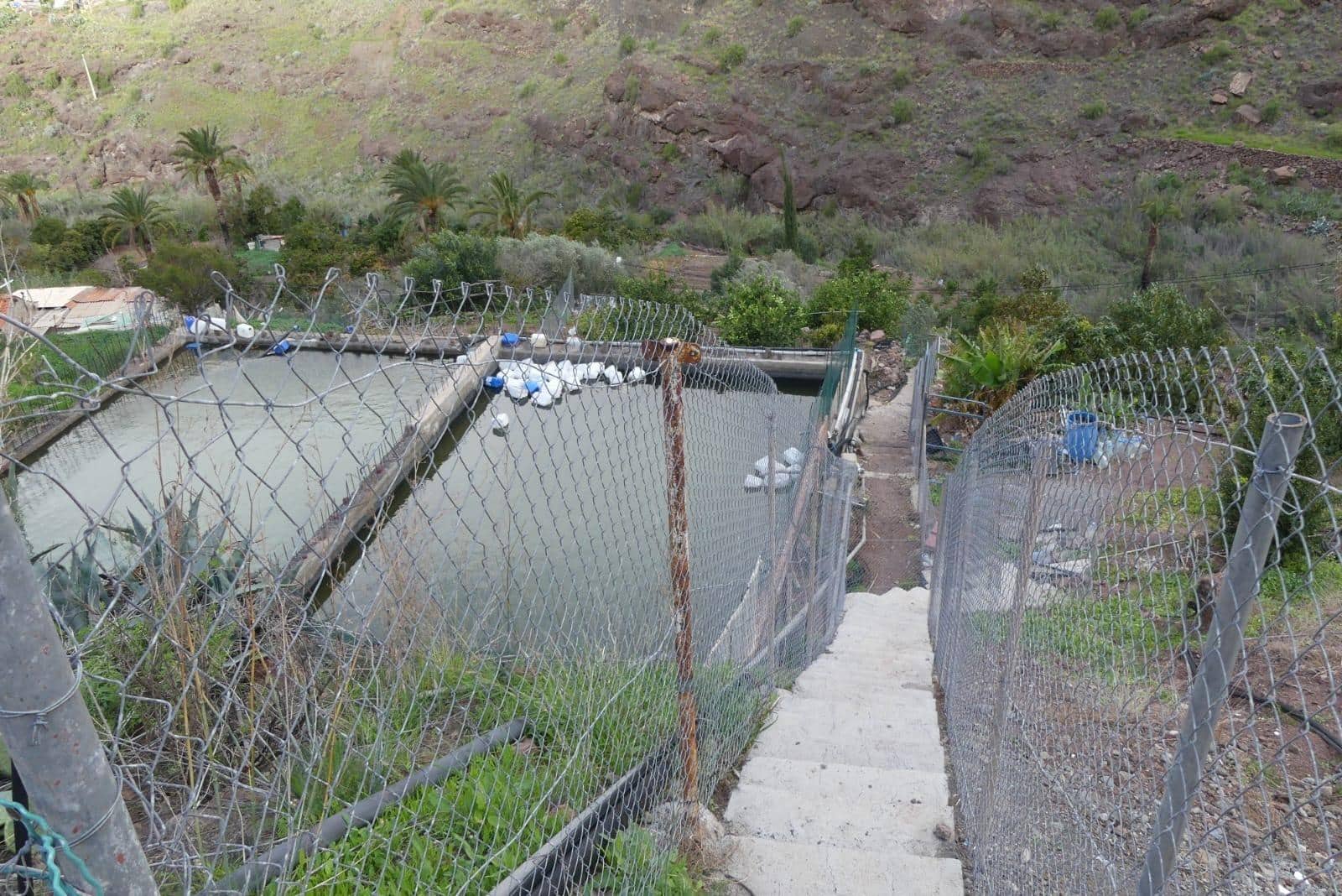 Ubebygd land til salgs i Chira - € 130 000 (Ref: 9670781)