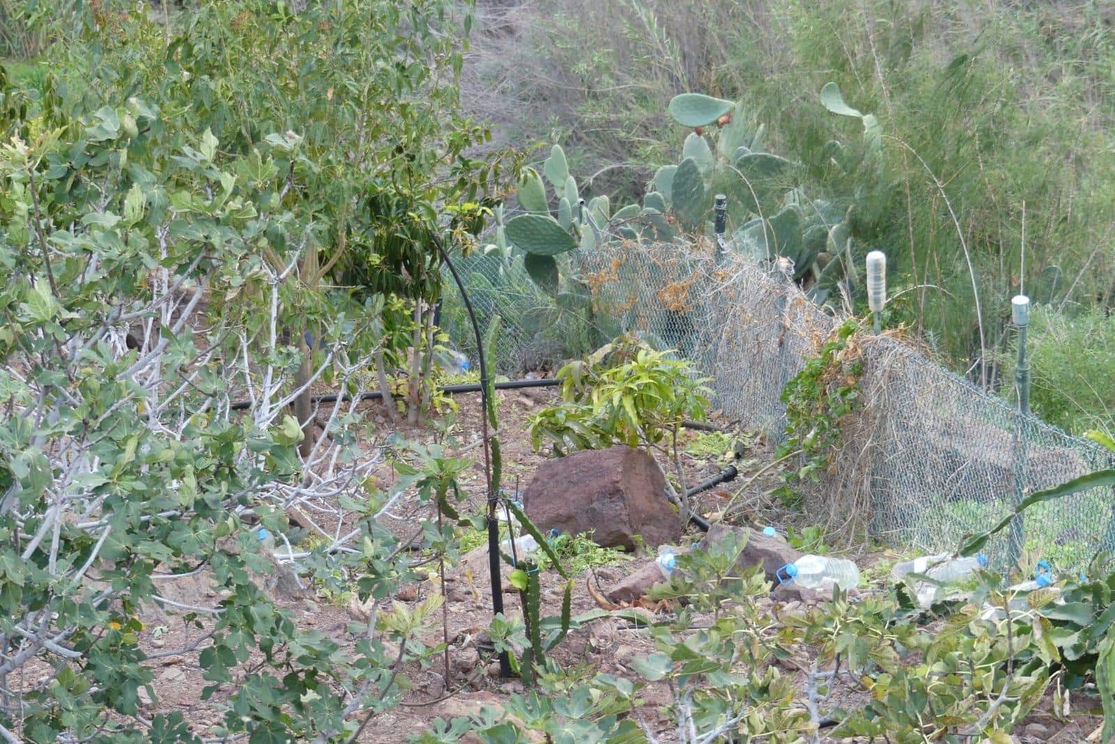 Ubebygd land til salgs i Chira - € 130 000 (Ref: 9670781)