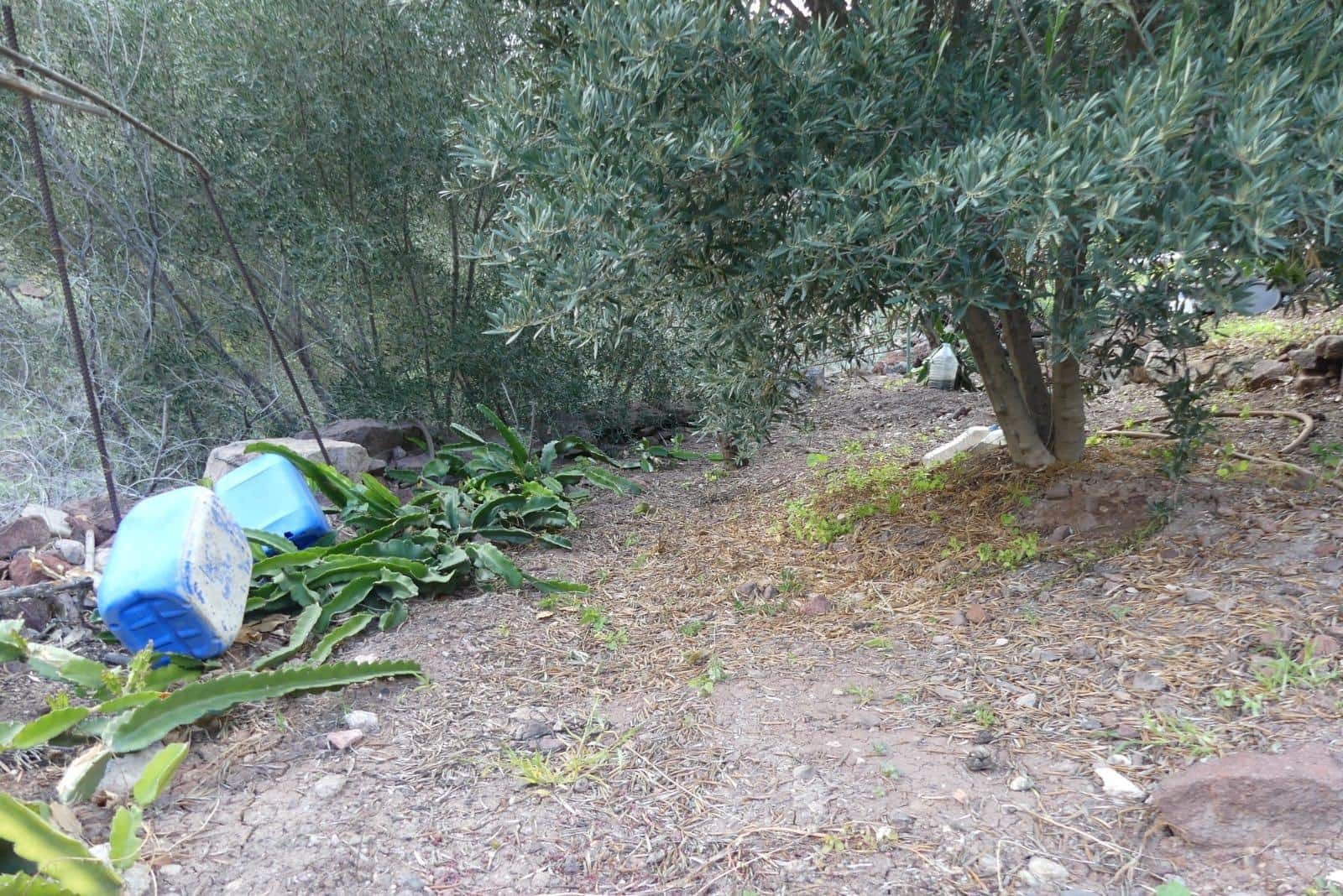 Ubebygd land til salgs i Chira - € 130 000 (Ref: 9670781)