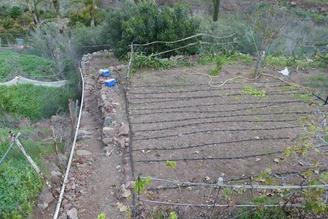 Ubebygd land til salgs i Chira, San Bartolomé de Tirajana - € 130 000 (Ref: 9670781)