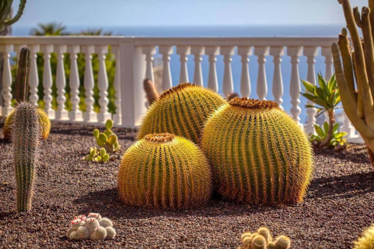 4 bedroom Villa for rent in Puerto Rico with pool garage - € 5,000 (Ref: 9755821)