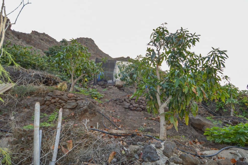 Undeveloped Land for sale in Cercados de Espinos - € 76,500 (Ref: 9823010)