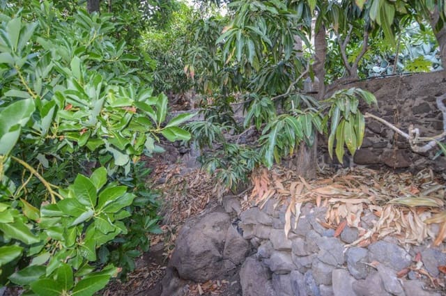 Terreno/Finca Rústica en Cercados de Espinos, San Bartolomé de Tirajana en venta - 76.500 € (Ref: 9823010)