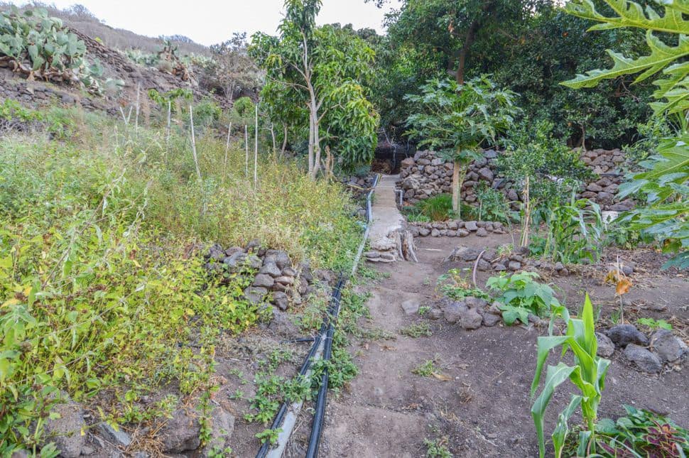 Undeveloped Land for sale in Cercados de Espinos - € 76,500 (Ref: 9823010)