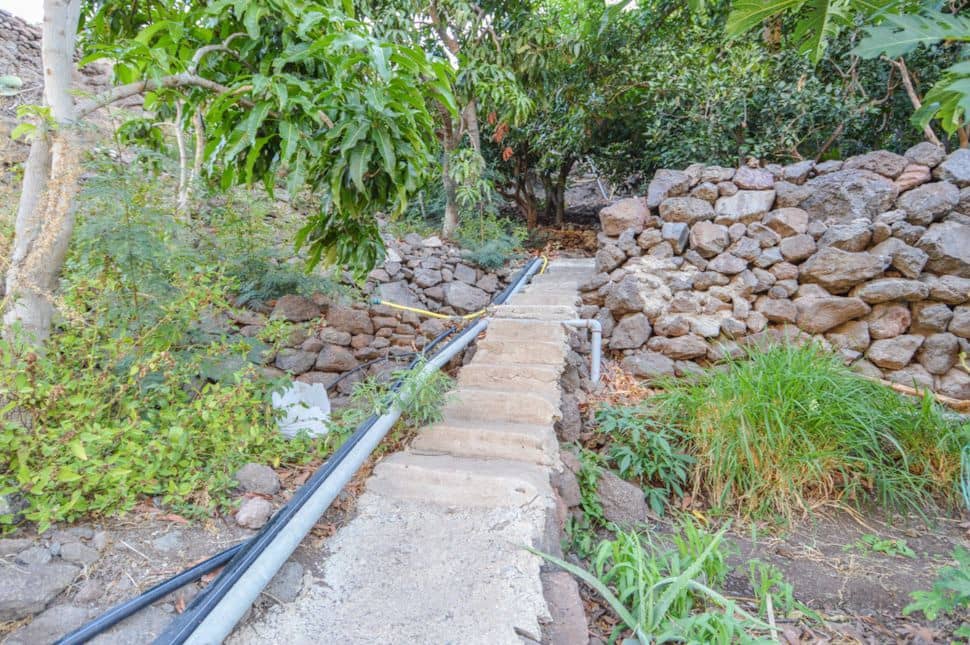 Undeveloped Land for sale in Cercados de Espinos - € 76,500 (Ref: 9823010)