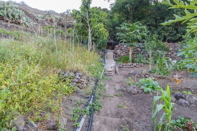 Terreno/Finca Rústica en Cercados de Espinos, San Bartolomé de Tirajana en venta - 76.500 € (Ref: 9823010)