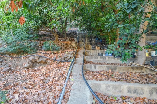 Terreno/Finca Rústica en Cercados de Espinos, San Bartolomé de Tirajana en venta - 76.500 € (Ref: 9823010)