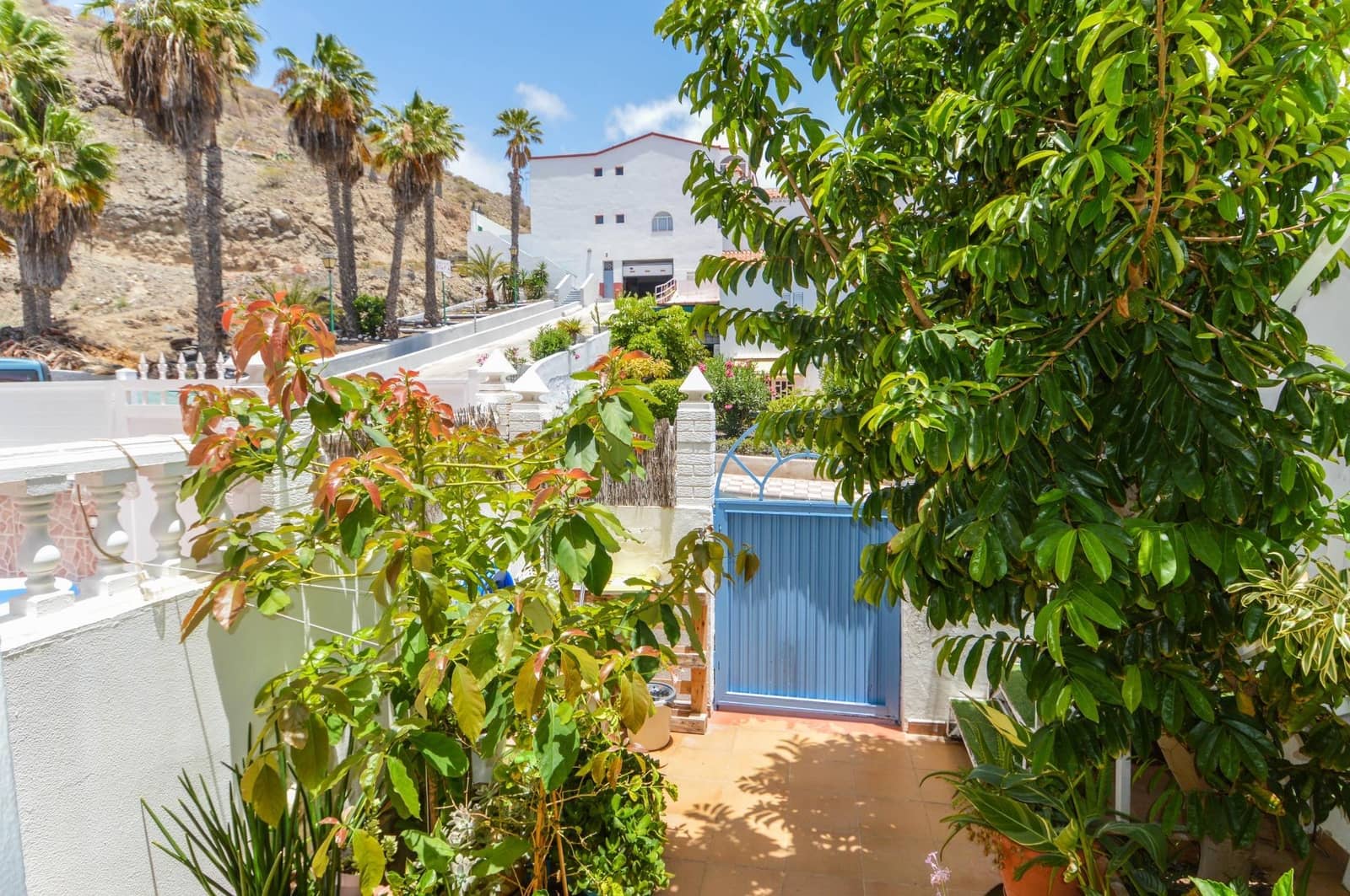 Studio for rent in Arguineguin - € 1,100 (Ref: 9890498)