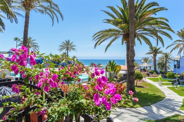 1 chambre Bungalow à vendre à San Agustín, San Bartolomé de Tirajana avec piscine - 335 000 € (Ref: 9938299)