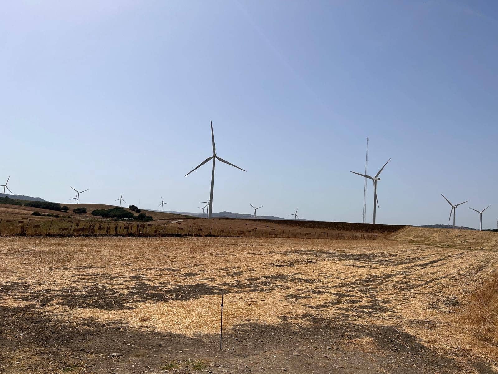 Byggegrund til salg i Vejer de la Frontera - € 2.400.000 (Ref: 8944910)