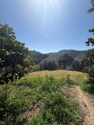 3 chambre Finca/Maison de Campagne à vendre à El Padrón, Estepona avec piscine garage - 525 000 € (Ref: 9697796)