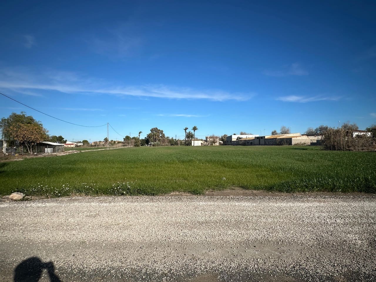 Ubebygd land til salgs i Crevillente / Crevillent - € 110 000 (Ref: 10029875)