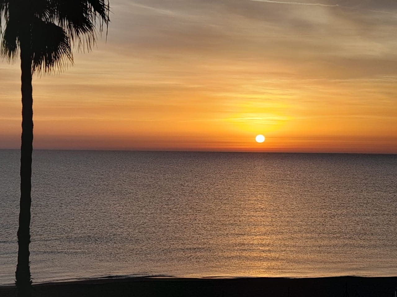3 chambre Appartement à vendre à La Mata avec piscine garage - 395 000 € (Ref: 10034226)