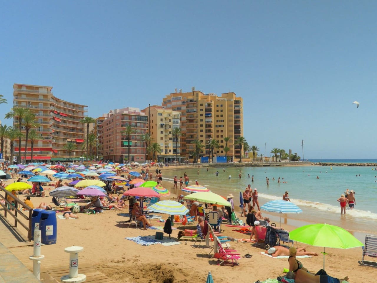 3 chambre Appartement à vendre à Torrevieja avec piscine garage - 398 000 € (Ref: 10049659)