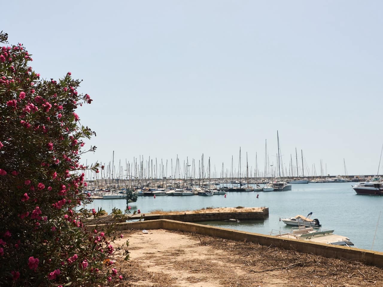 3 Zimmer Apartment zu verkaufen in Torrevieja - 269.000 € (Ref: 10059989)
