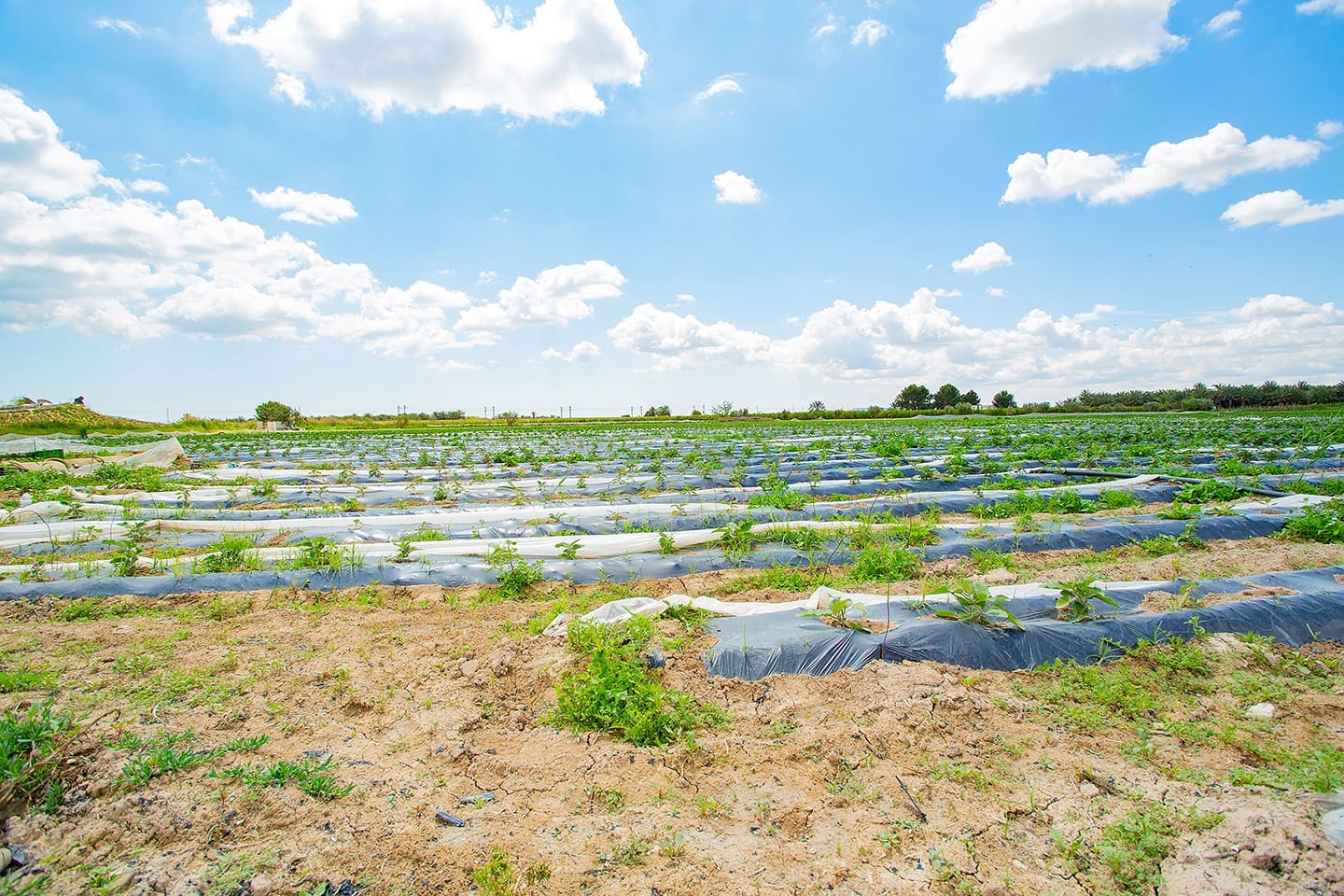 1 quarto Quinta/Casa Rural para venda em San Isidro - 180 000 € (Ref: 6840678)