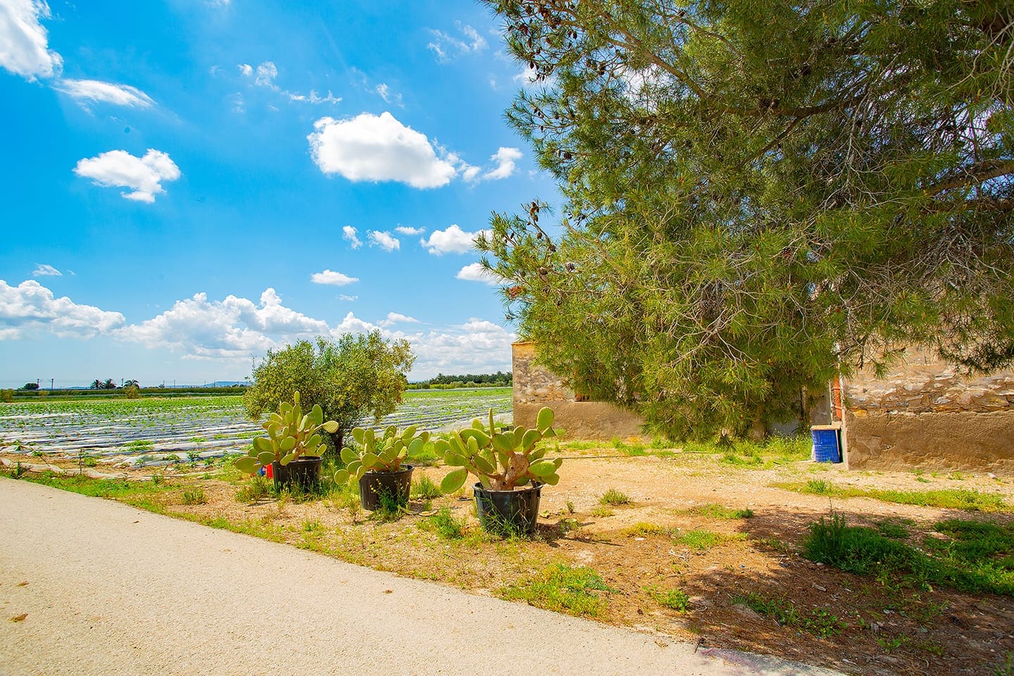 1 quarto Quinta/Casa Rural para venda em San Isidro - 180 000 € (Ref: 6840678)