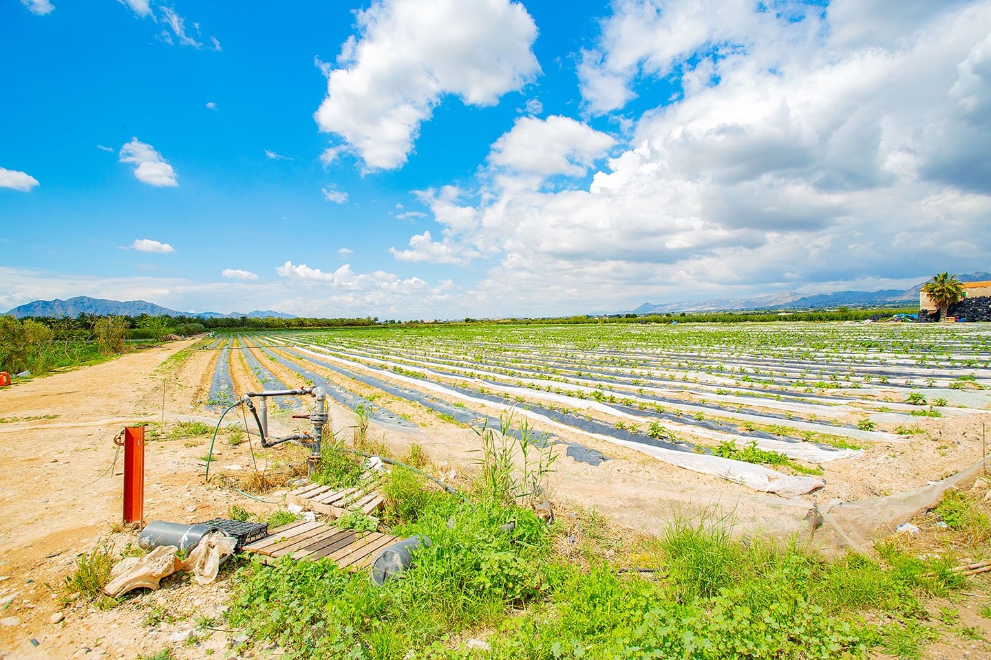 1 quarto Quinta/Casa Rural para venda em San Isidro - 180 000 € (Ref: 6840678)