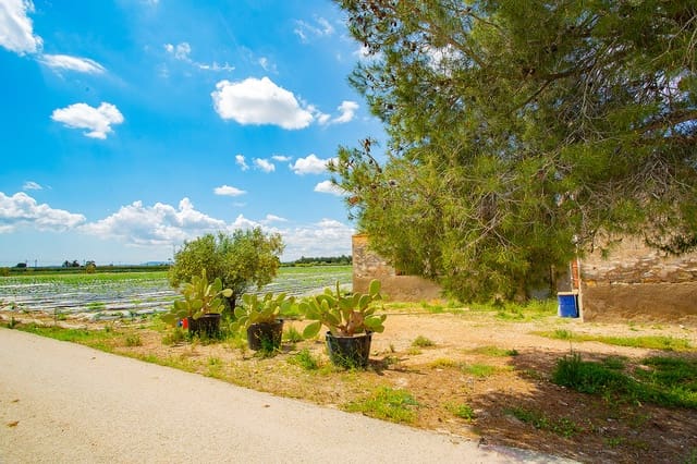 1 bedroom Finca/Country House for sale in San Isidro - € 180,000 (Ref: 6840678)