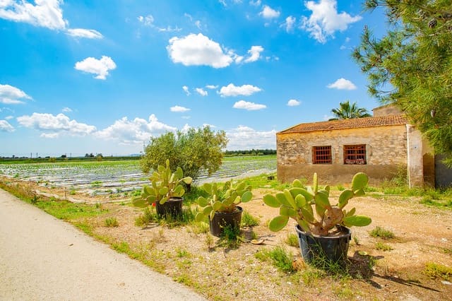 1 bedroom Finca/Country House for sale in San Isidro - € 180,000 (Ref: 6840678)