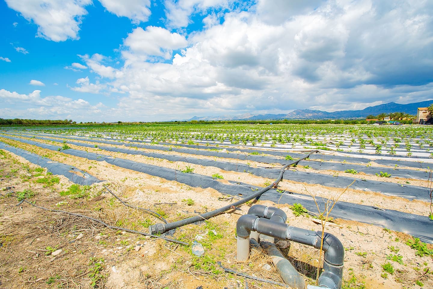 1 quarto Quinta/Casa Rural para venda em San Isidro - 180 000 € (Ref: 6840678)