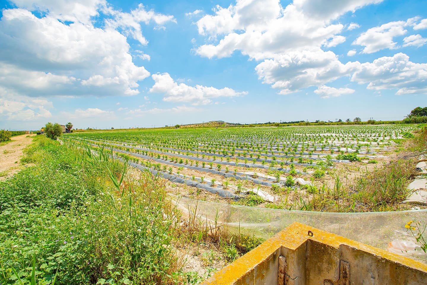 1 quarto Quinta/Casa Rural para venda em San Isidro - 180 000 € (Ref: 6840678)