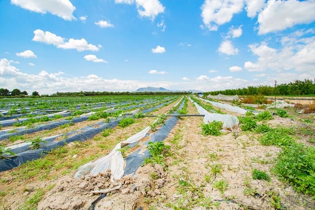 1 bedroom Finca/Country House for sale in San Isidro - € 180,000 (Ref: 6840678)