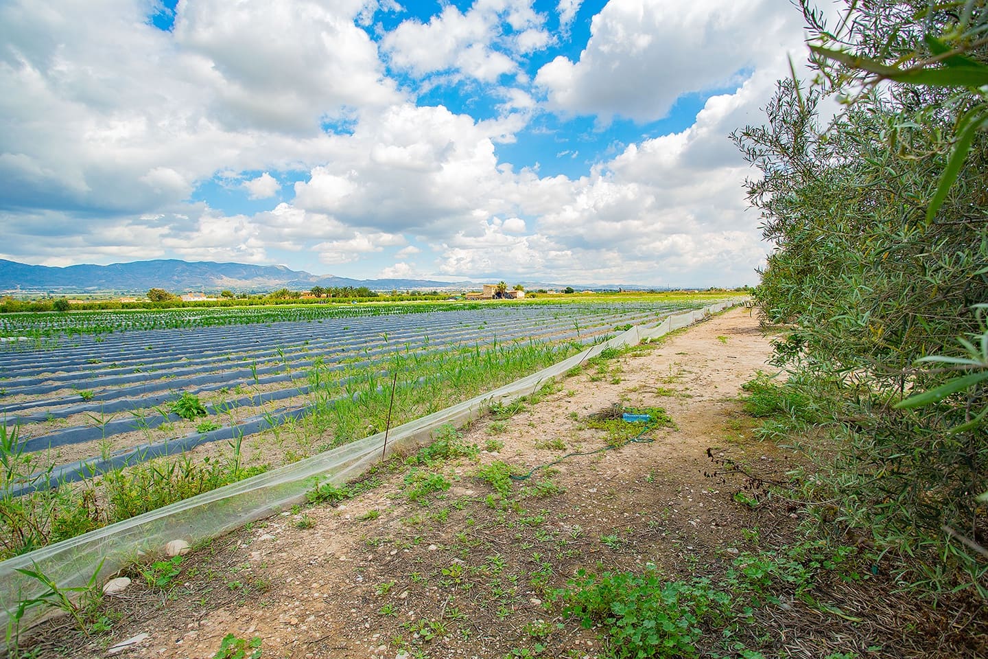 1 quarto Quinta/Casa Rural para venda em San Isidro - 180 000 € (Ref: 6840678)