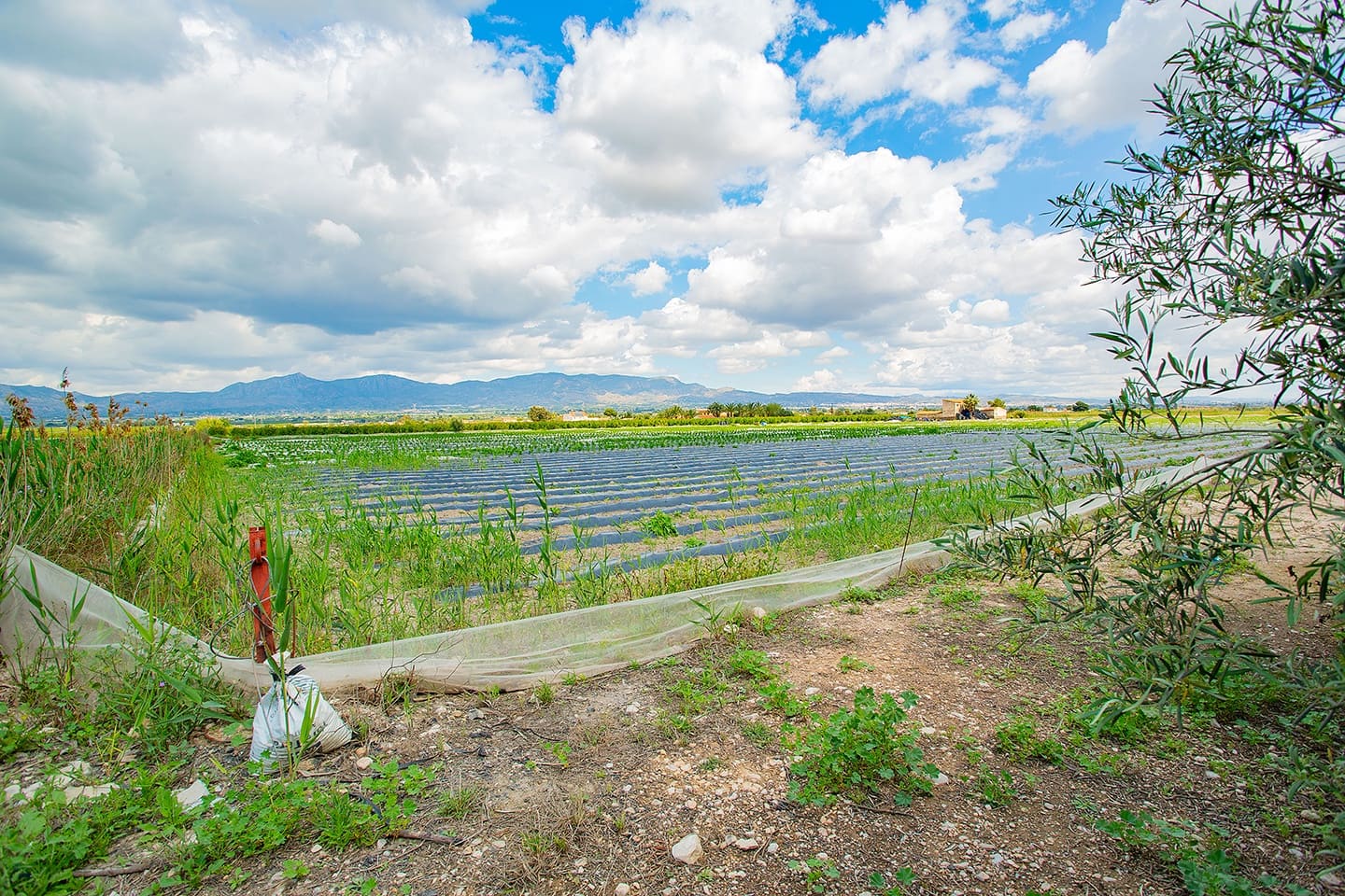 1 quarto Quinta/Casa Rural para venda em San Isidro - 180 000 € (Ref: 6840678)