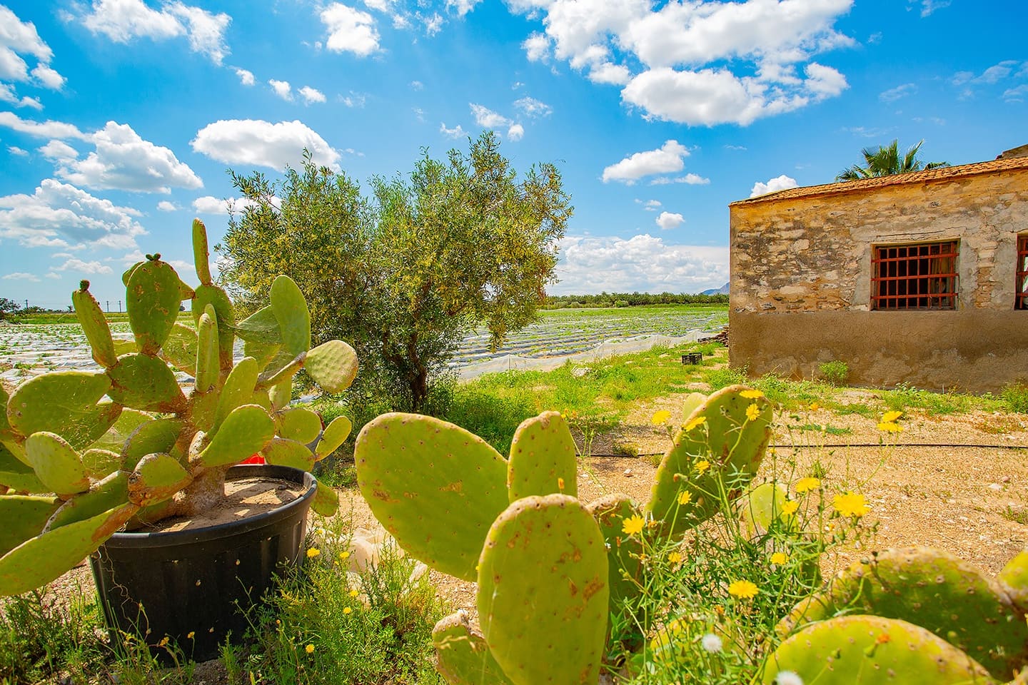 1 quarto Quinta/Casa Rural para venda em San Isidro - 180 000 € (Ref: 6840678)