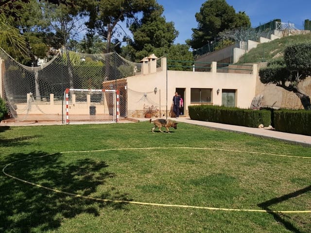5 soveværelse Finca/Landehus til salg i Elche / Elx med swimmingpool - € 600.000 (Ref: 7441131)